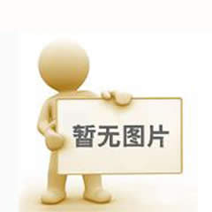 市政桥梁结构监测系统标准